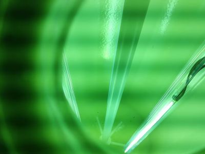 PRST Electrical to Present Custom UV Solutions at CPHI Shanghai 2026